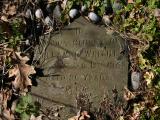 image of grave number 19950